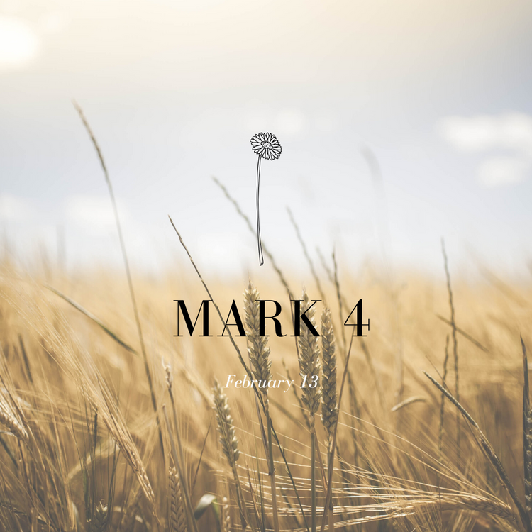 February 13: Mark 4