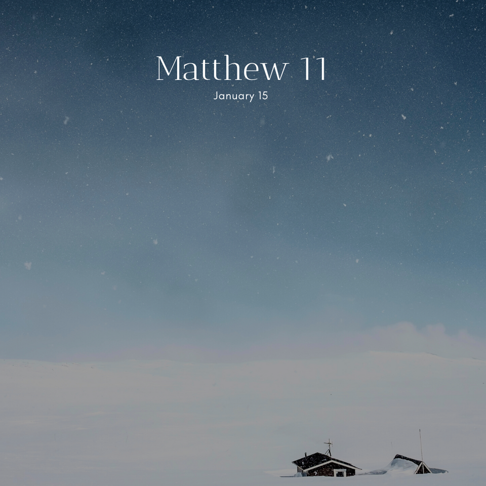 January 15: Matthew 11