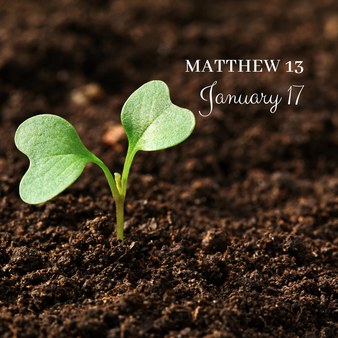 January 17: Matthew 13