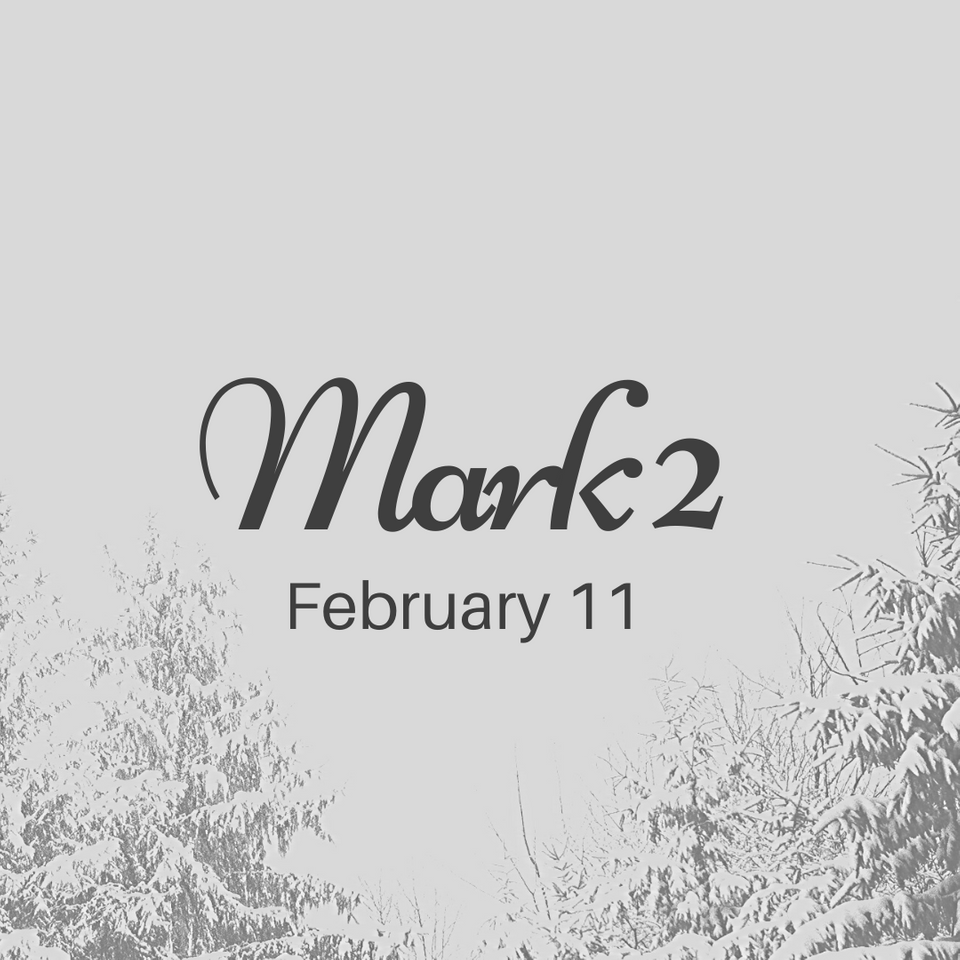 February 11: Mark 2