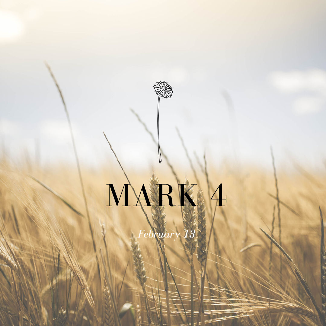 February 13: Mark 4