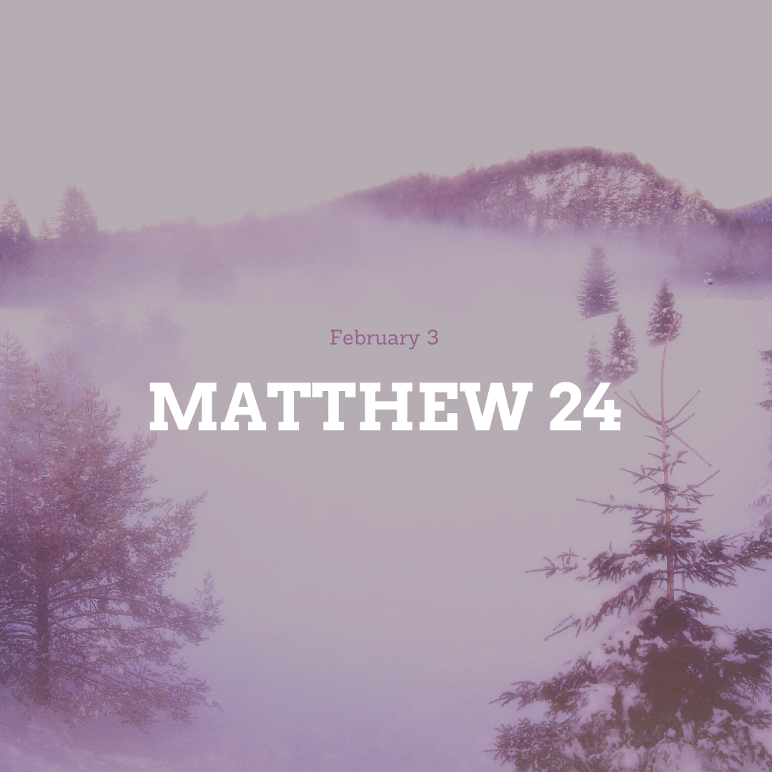 February 3: Matthew 24