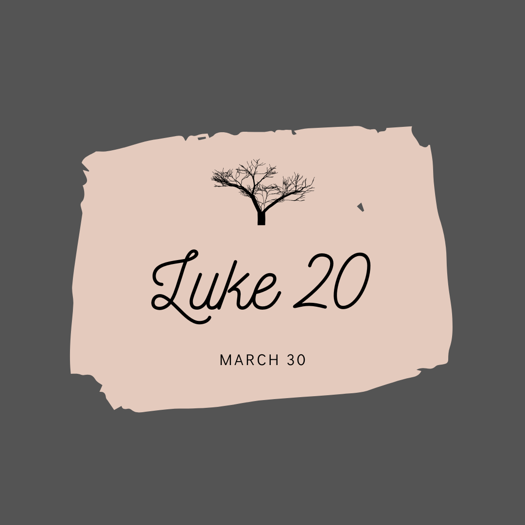 March 30: Luke 20