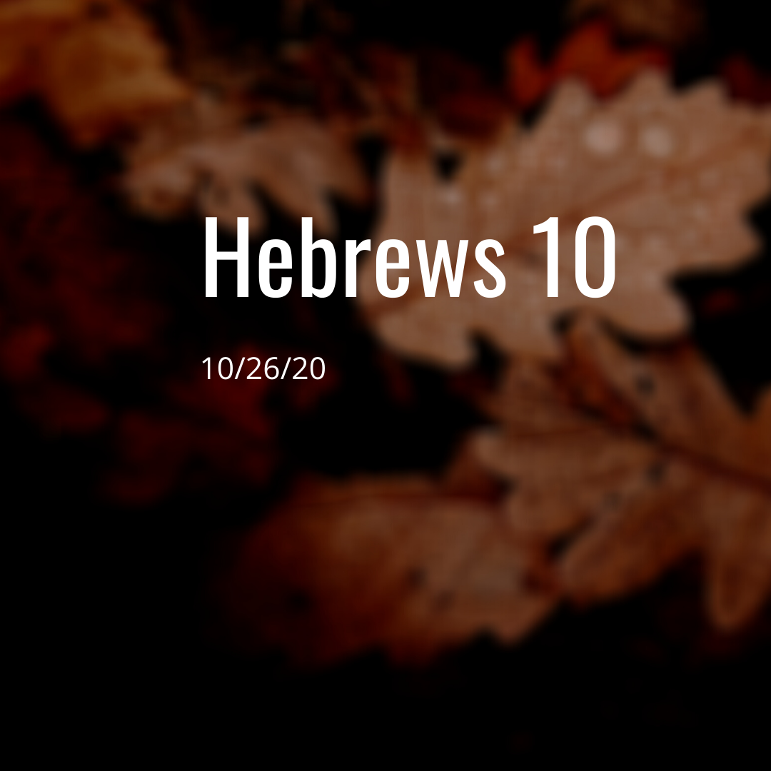 October 26: Hebrews 10