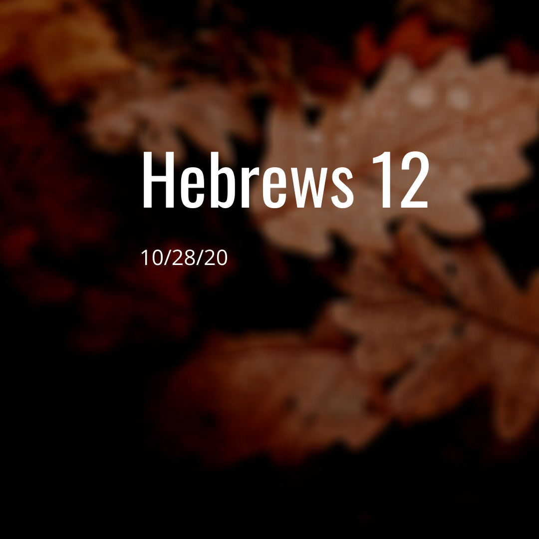 October 28: Hebrews 12