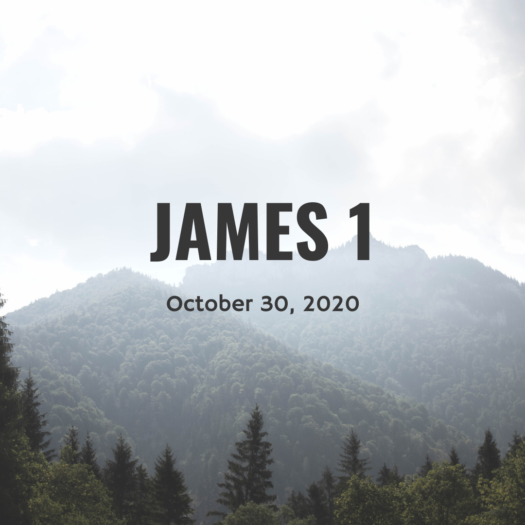 October 30: James 1