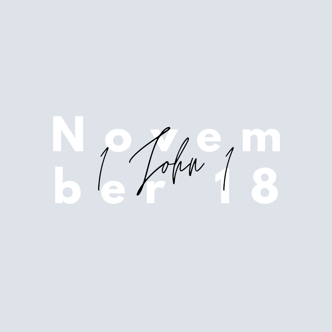 November 18: 1 John 1
