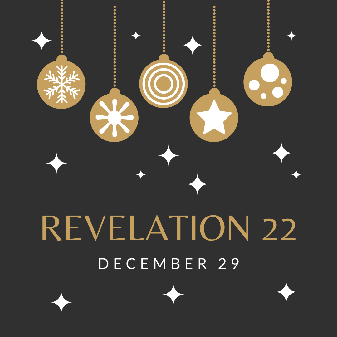 December 29: Revelation 22