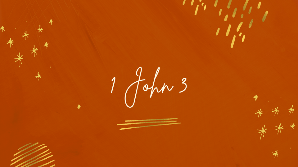 Nov 24: 1 John 3
